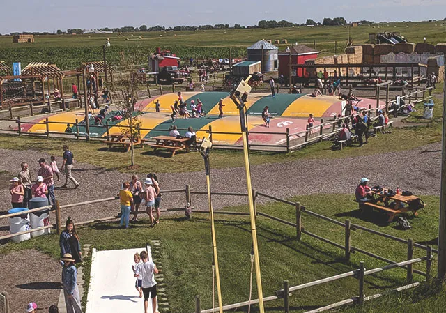 groups of families playing at Calgary Farmyard