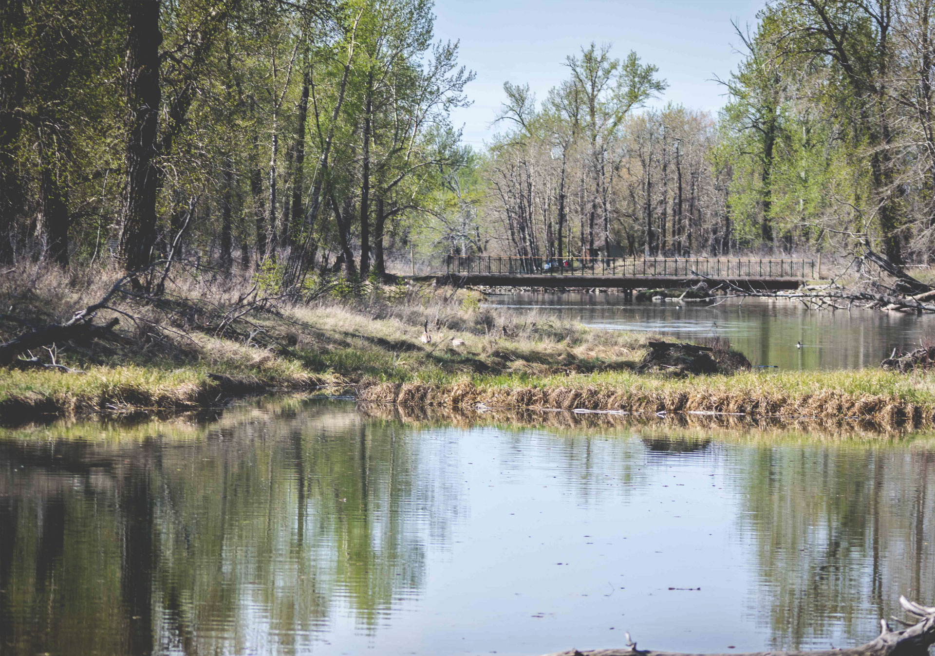 Take a hike through the Inglewood Bird Sanctuary at any point during the year