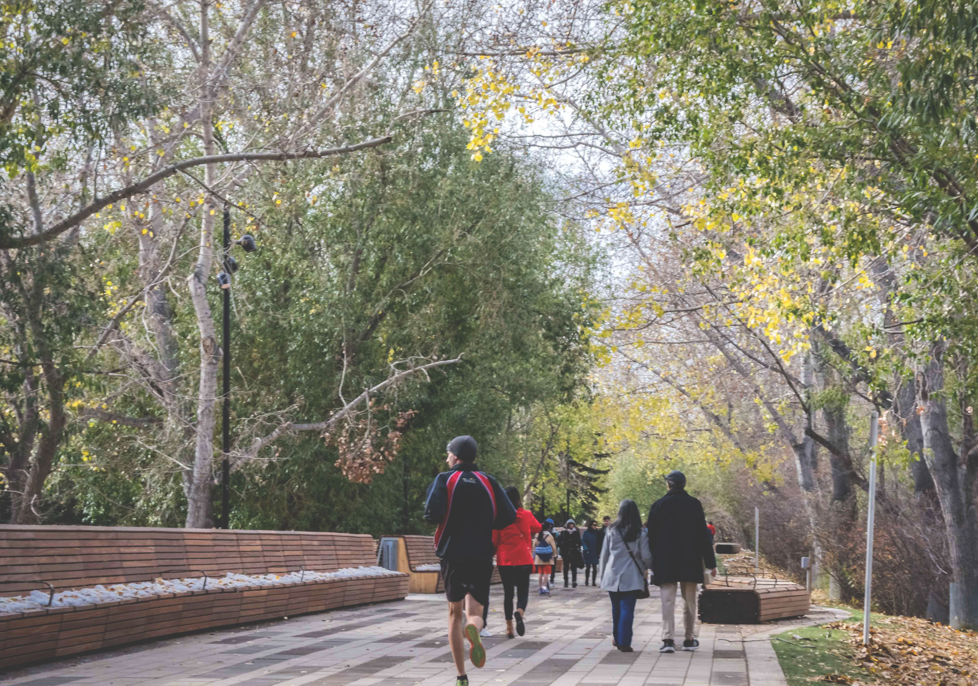 Start your walk along the Bow River Pathway downtown before heading out west to Edworthy Park