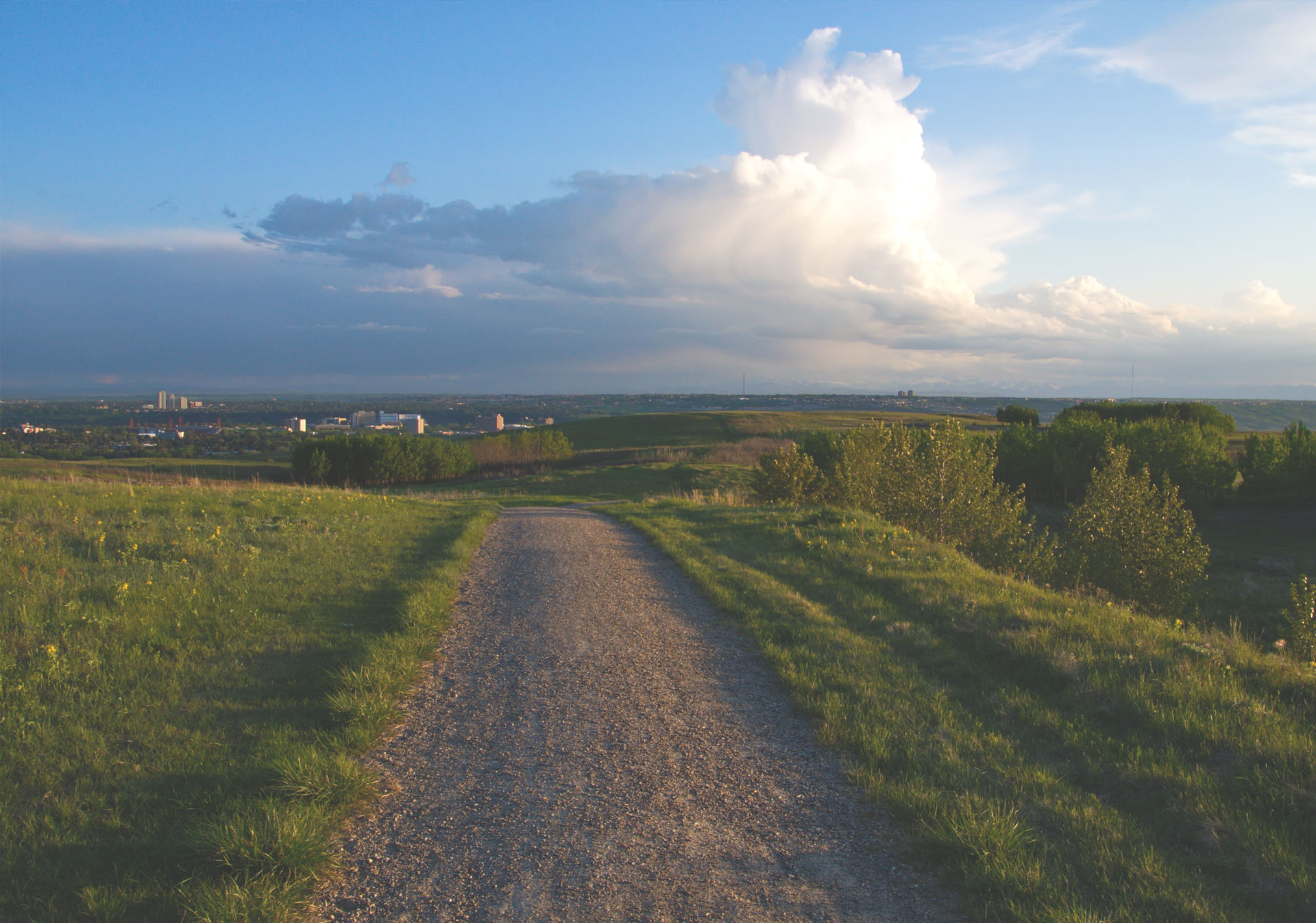 Nose Hill Park provides great views of the city