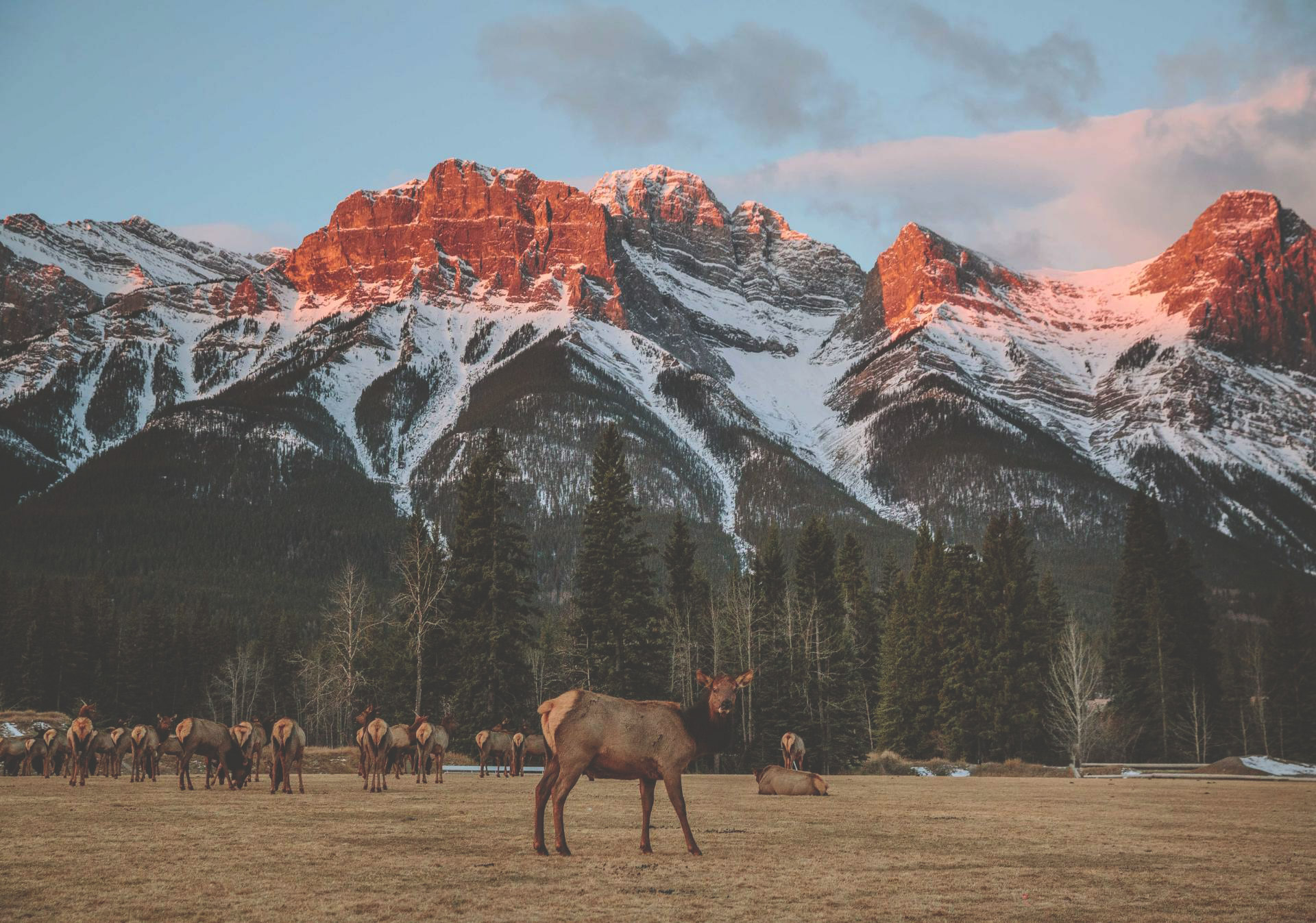 Views of Banff National Park