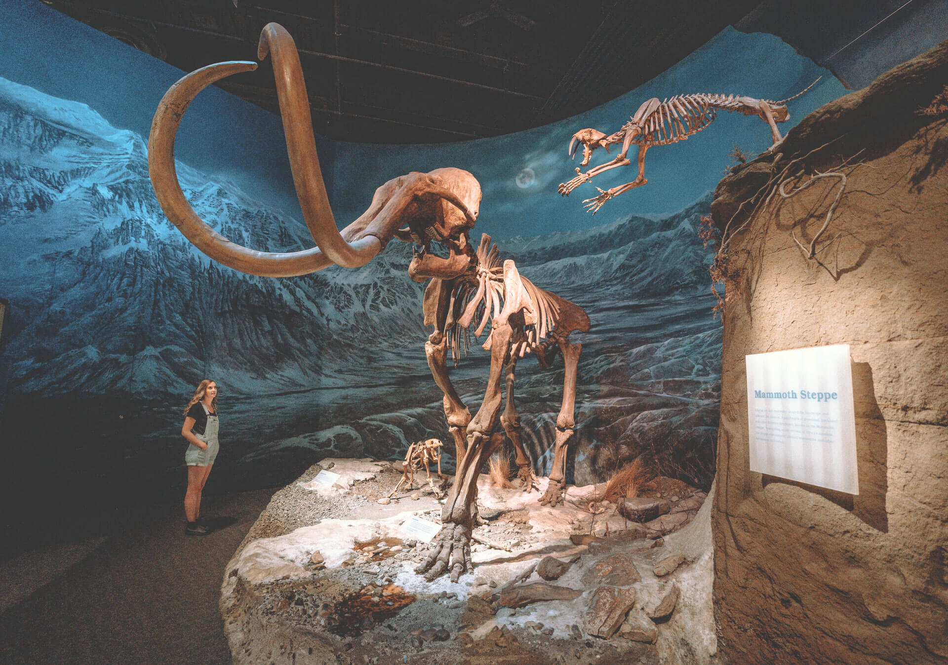 royal tyrrell museum hours