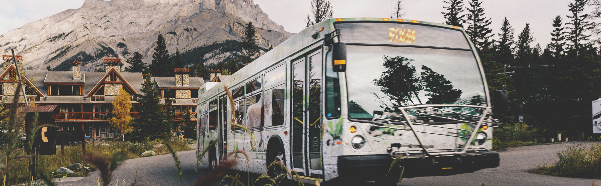 Banff Bus