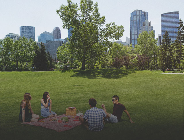 picnic in park