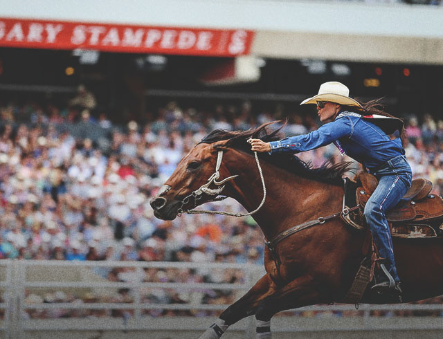barrel racer competing during the Calgary Stampede Rodeo