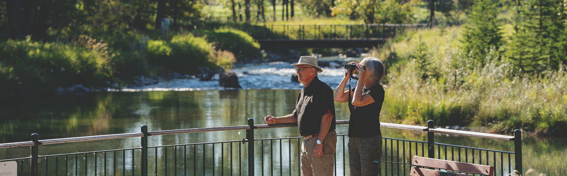 Birding in calgary alberta