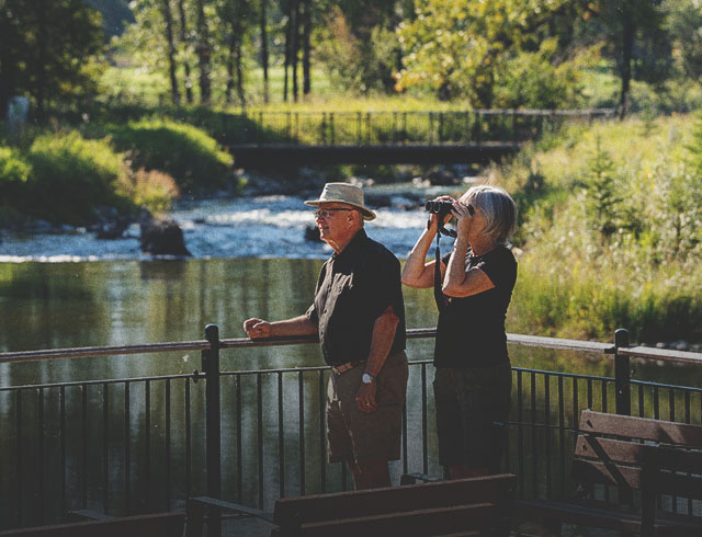 Birding in calgary alberta