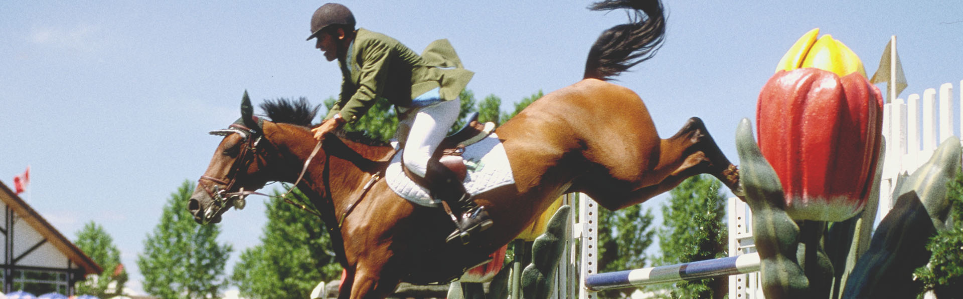 jockey and horse at Spruce Meadows