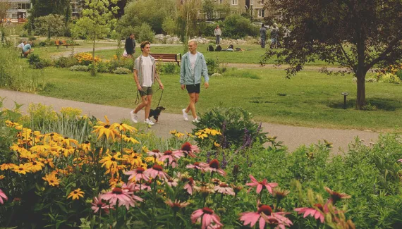 couple walking their dog in Prince's Island Park in summer