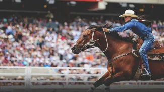 barrel racer competing during the Calgary Stampede Rodeo