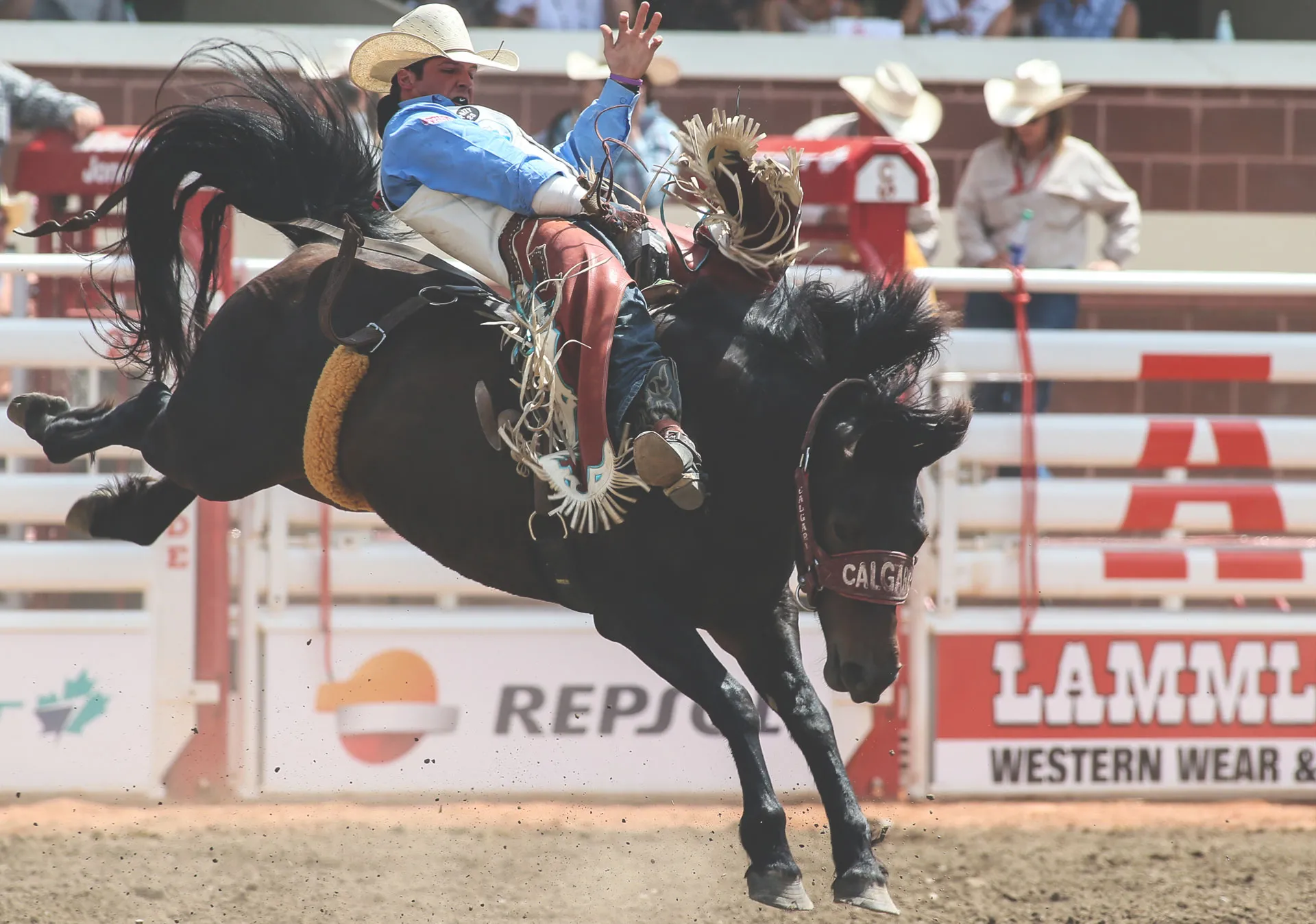 Rodeo at the Calgary Stampede