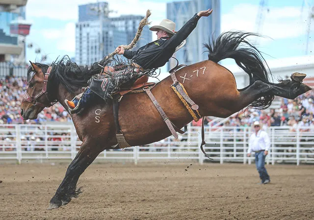 Calgary Stampede