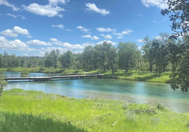 Inglewood Bird Sanctuary