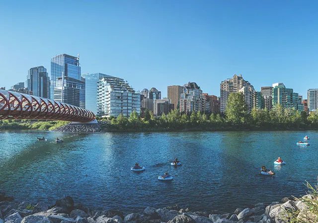 groups of floaters floating on the Bow River in summer