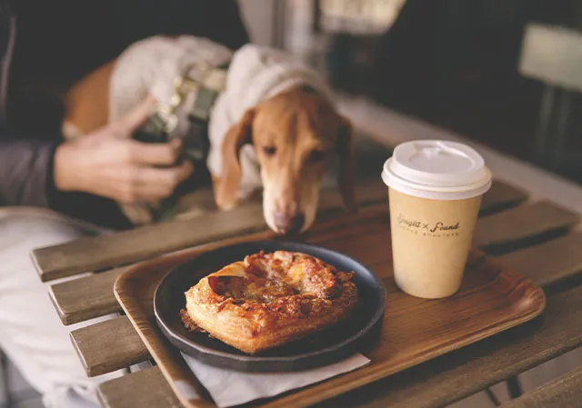 dog investigates coffee and a baked good at Sought &amp; Found patio
