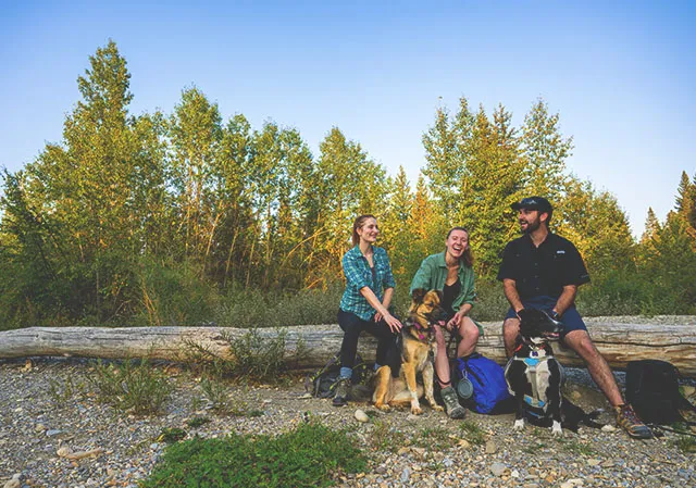 group of friends take a break from hiking Fish Creek Park with their dogs