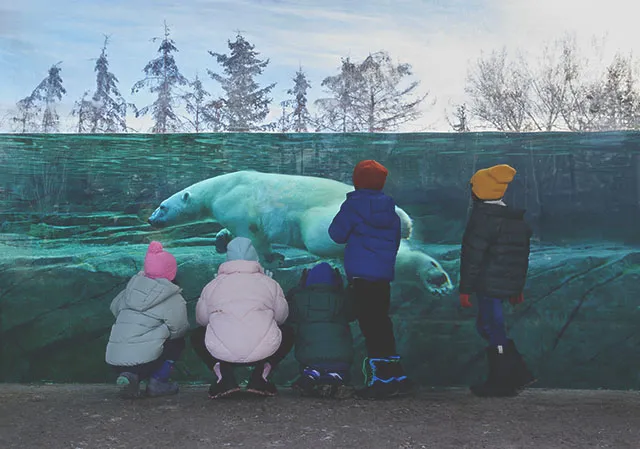 children watching a polar bear swim in its habitat at Calgary Zoo
