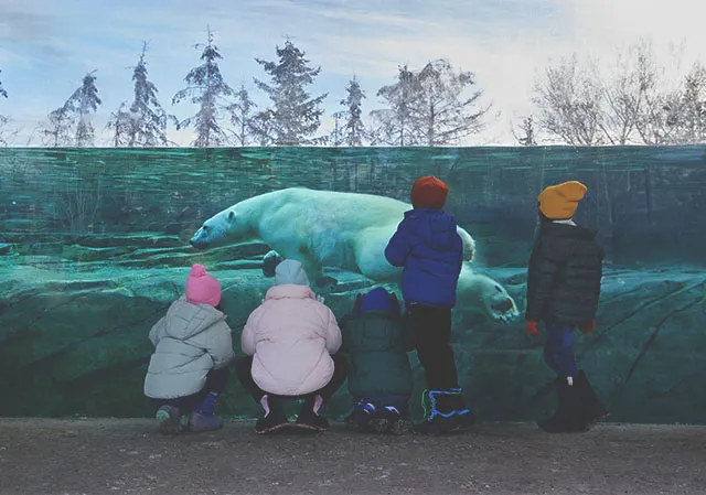 children are watching Polar bear in calgary zoo