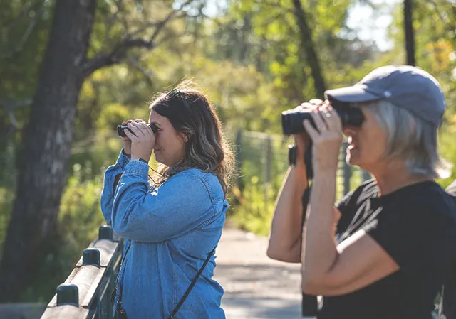 two people are watching birds in calgary