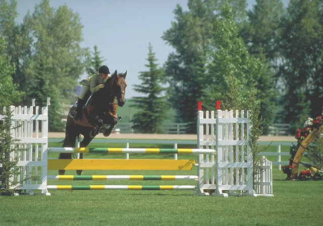 A pastoral backdrop for horseback riding